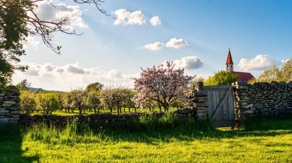Les meilleurs paysagistes à Beaufour-Druval pour embellir vos jardins